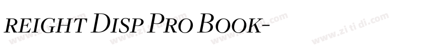 reight Disp Pro Book字体转换